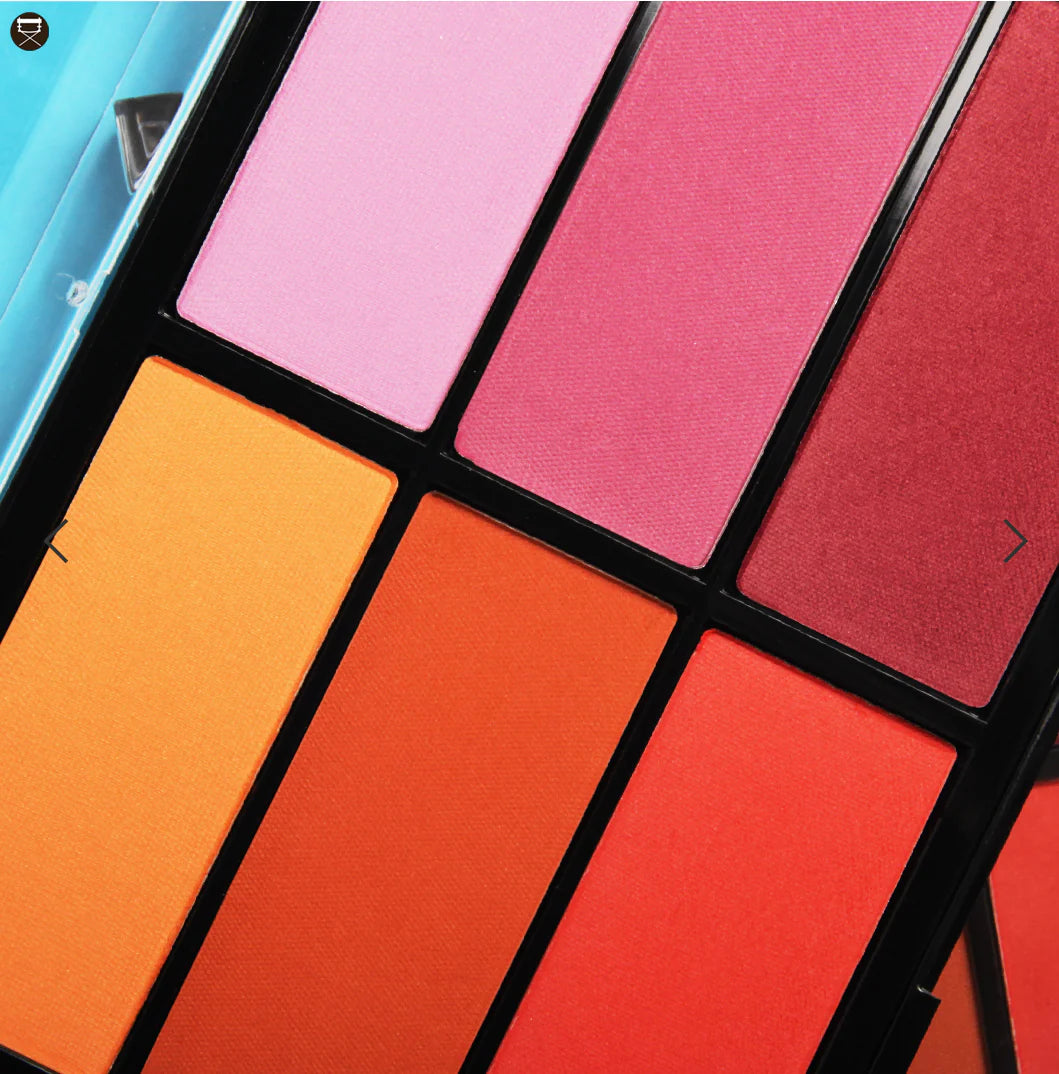 ORANGE VIOLET BLUSH PALETTE – VBL03