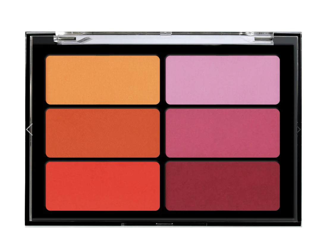 ORANGE VIOLET BLUSH PALETTE – VBL03