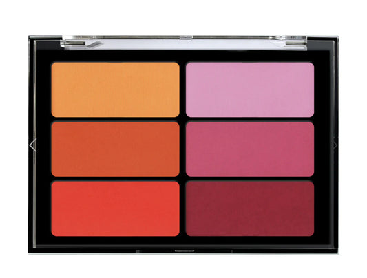 ORANGE VIOLET BLUSH PALETTE – VBL03