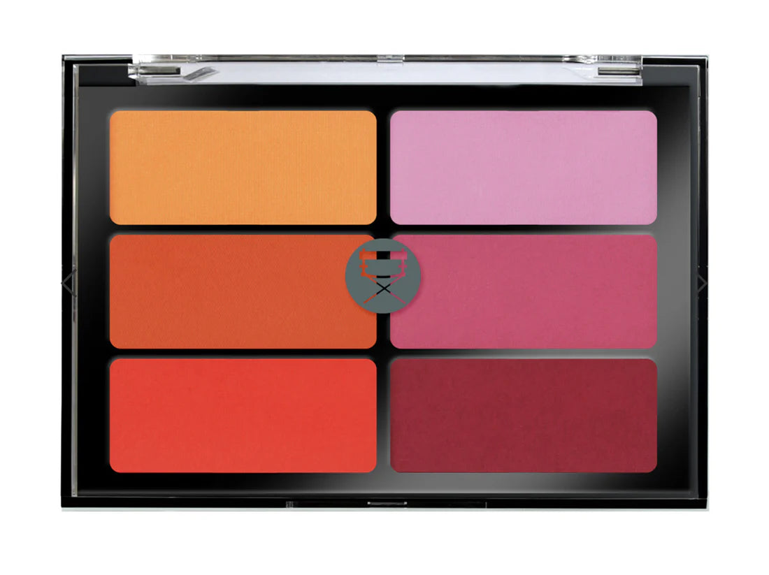 ORANGE VIOLET BLUSH PALETTE – VBL03